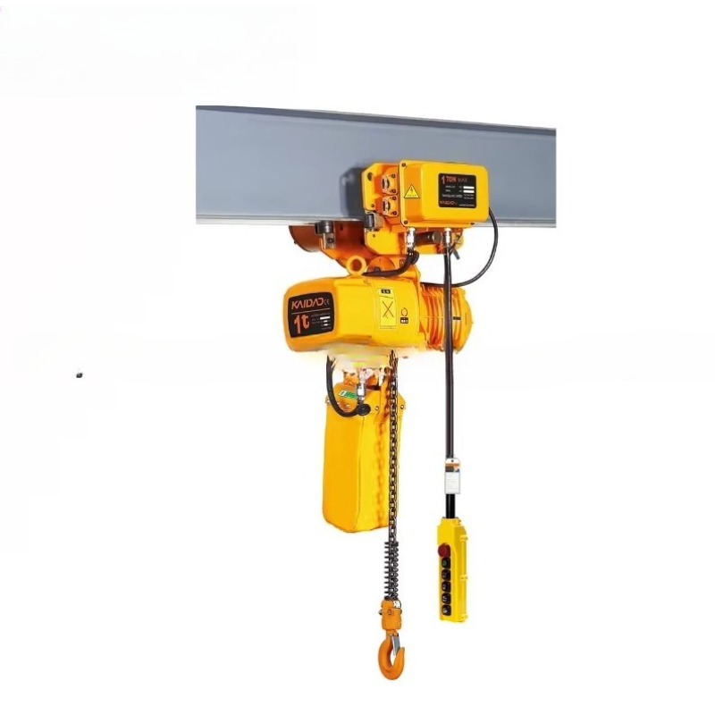 Dual Speed Electric Chain Hois - đánh giá và giá Heavy Equipment Lifting